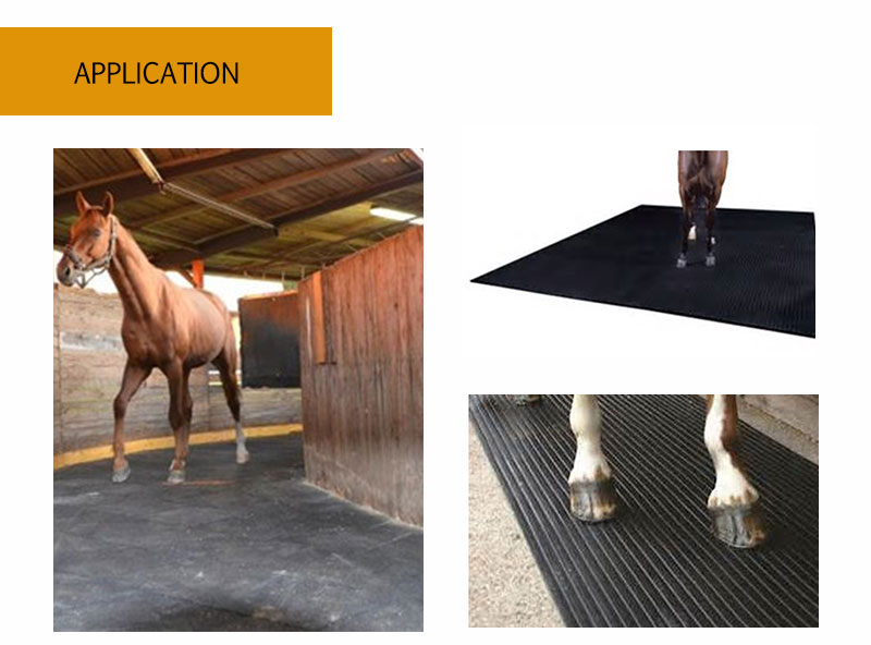 马垫_03
